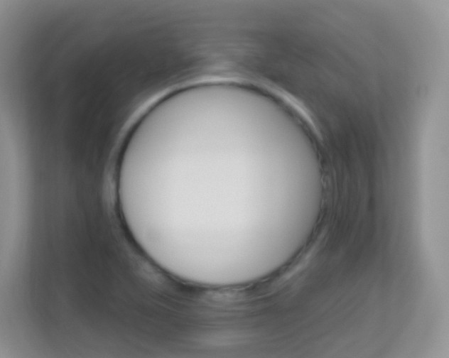 X0000113881415200909241017