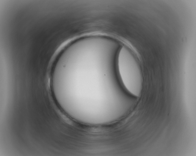 X0000113881416200909241017