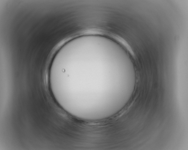X0000113881419200909241017