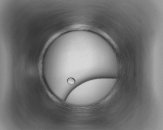 X0000113881421200909241017