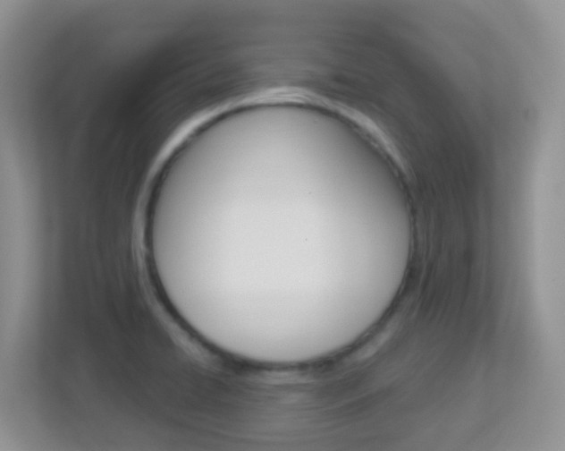 X0000113881422200909241017