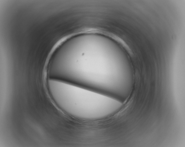 X0000113881424200909241017
