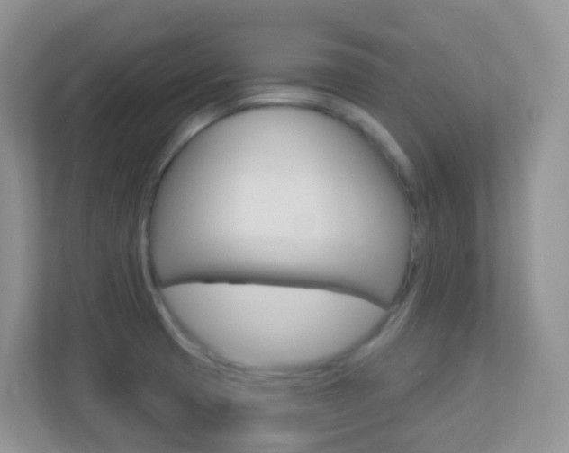 X0000113881425200909241017
