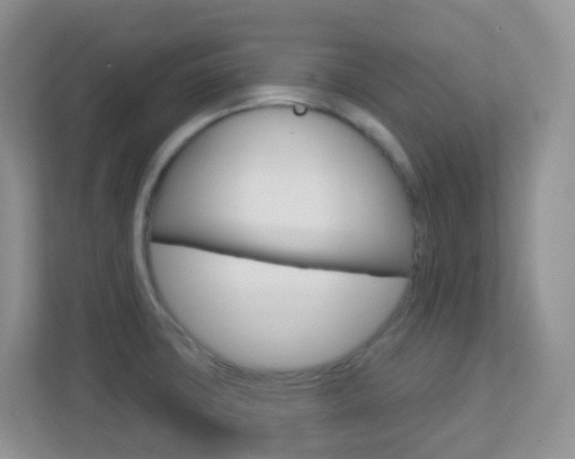 X0000113881427200909241017