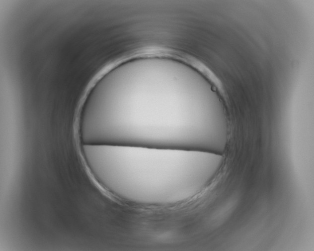 X0000113881429200909241017