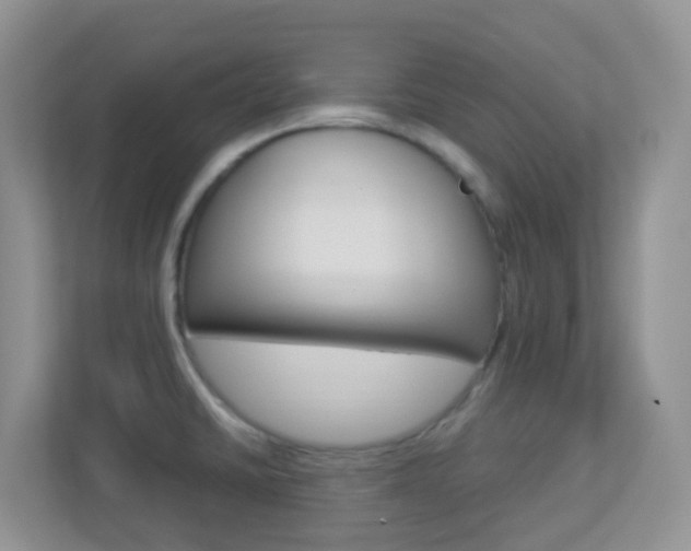 X0000113881430200909241017