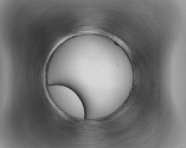 X0000113881431200909241017