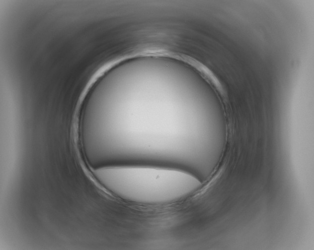 X0000113881432200909241017