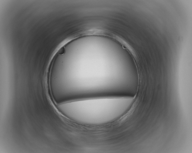 X0000113881434200909241017