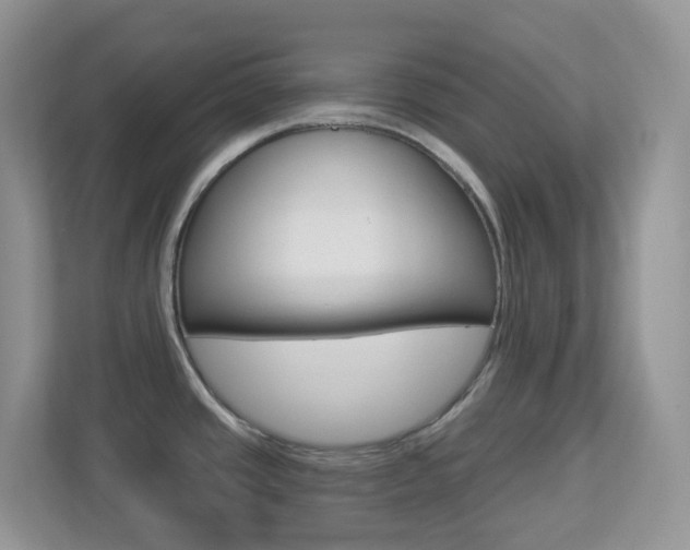 X0000113881437200909241017