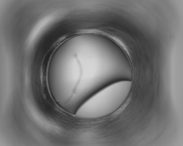 X0000113881438200909241017