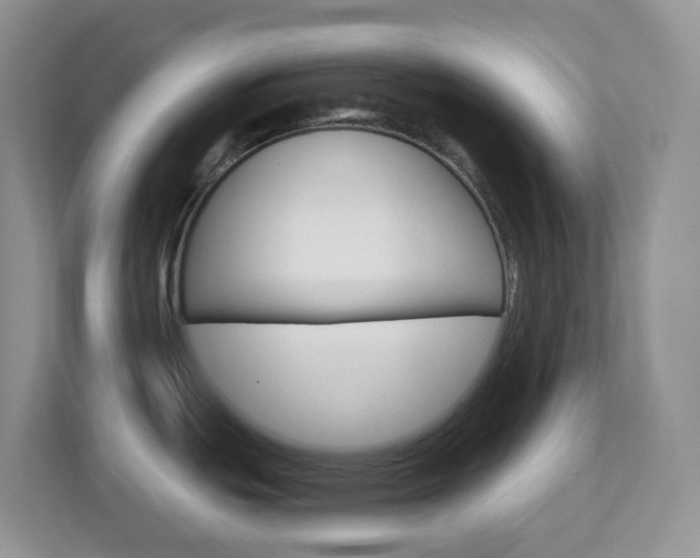 X0000113881439200909241017