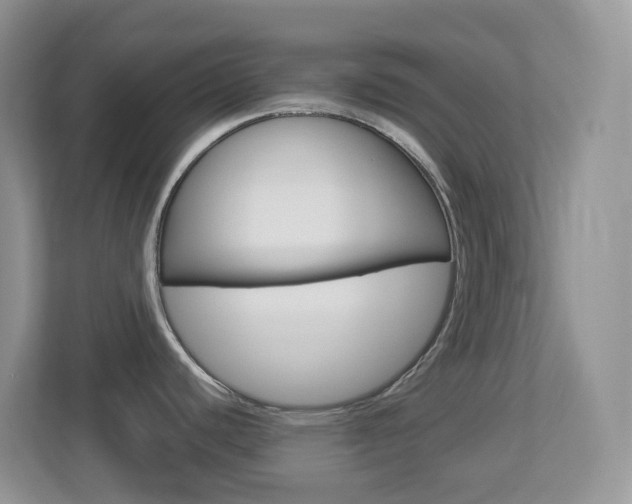 X0000113881440200909241017