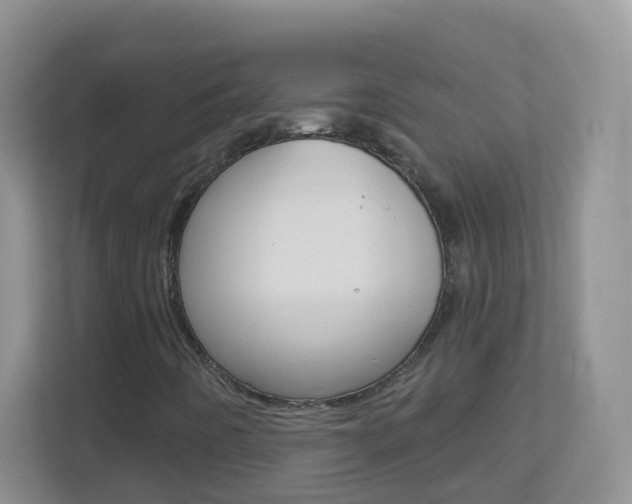 X0000113881442200909241017