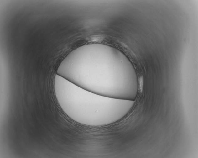 X0000113881443200909241017