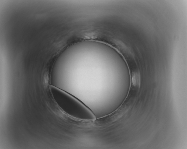 X0000113881444200909241017