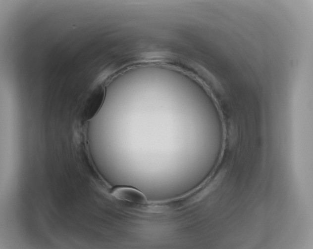 X0000113881449200909241017