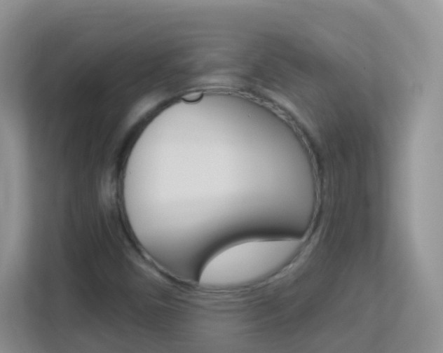 X0000113881450200909241017