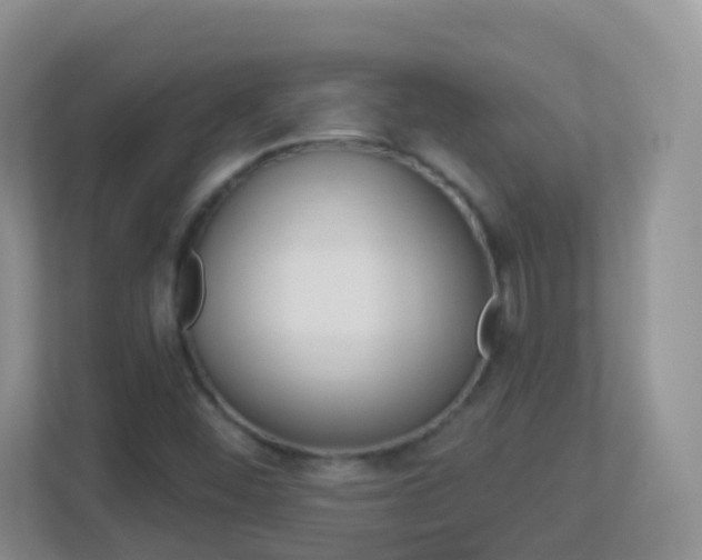 X0000113881452200909241017