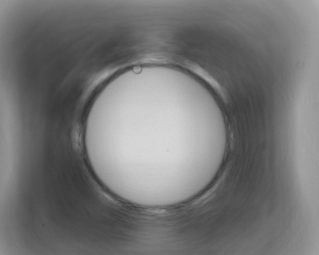 X0000113881454200909241017