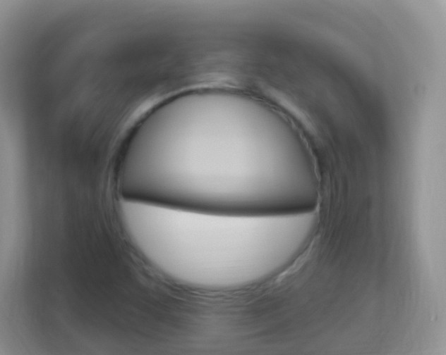 X0000113881455200909241017