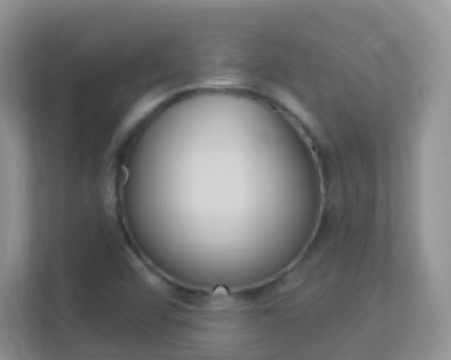 X0000113881456200909241017