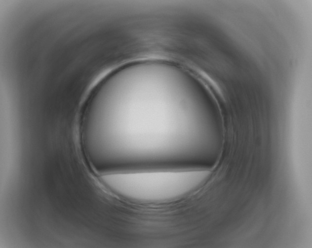 X0000113881460200909241017