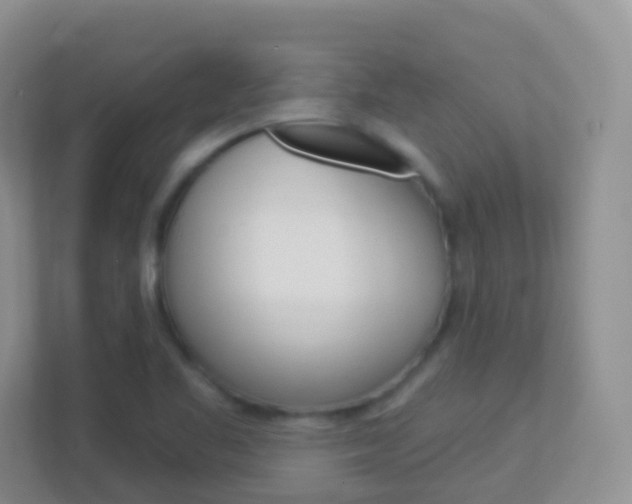 X0000113881461200909241017