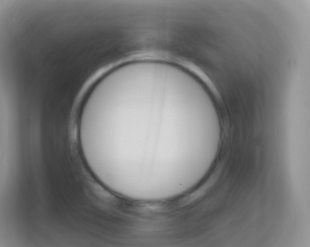 X0000113881462200909241017
