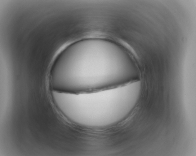 X0000113881463200909241017