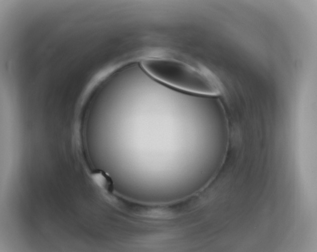 X0000113881464200909241016