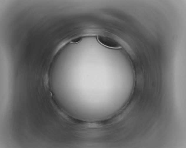 X0000113881465200909241016