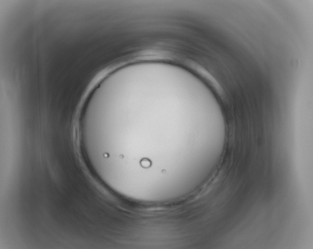 X0000113881467200909241016