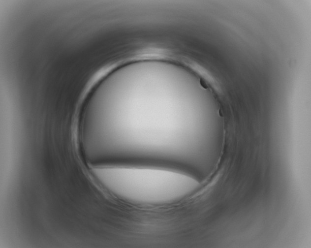 X0000113881469200909241016
