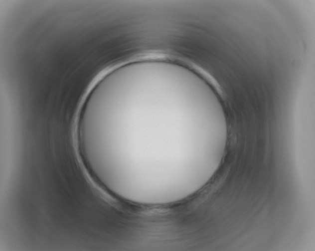 X0000113881475200909241016