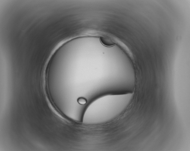 X0000113881479200909241016