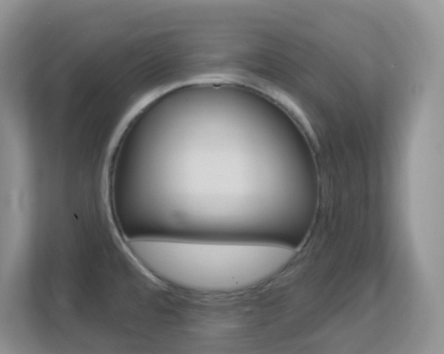 X0000113881480200909241016