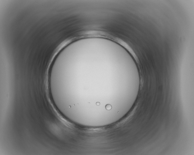 X0000113881482200909241016