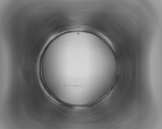 X0000113881483200909241016