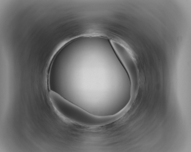 X0000113881484200909241016