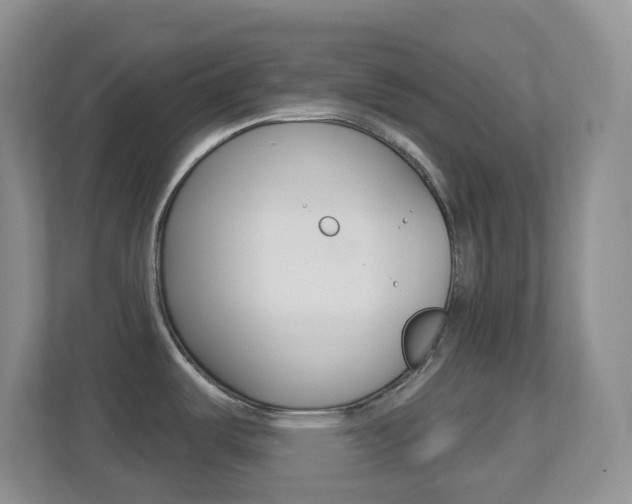 X0000113881487200909241016