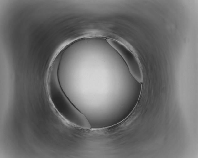 X0000113881488200909241016