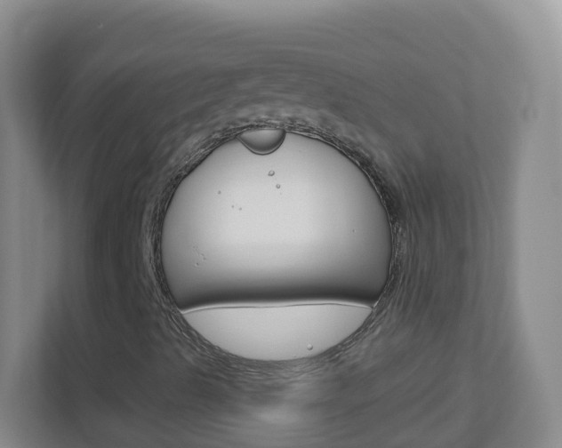 X0000113881489200909241016