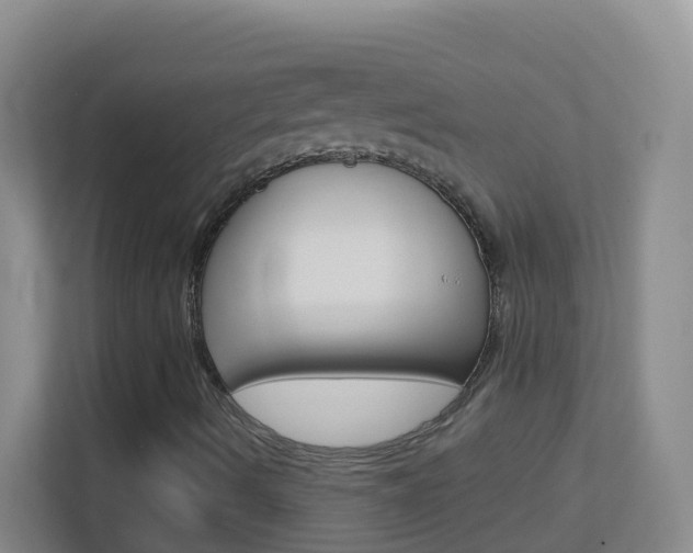 X0000113881490200909241016