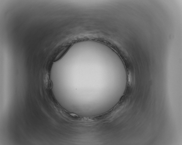 X0000113881492200909241016