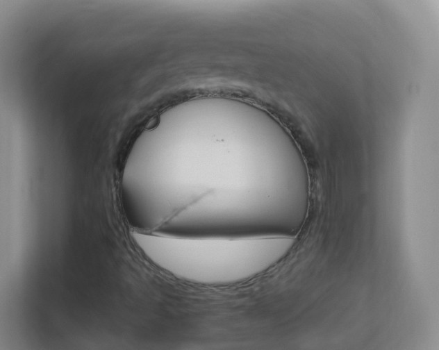 X0000113881493200909241016