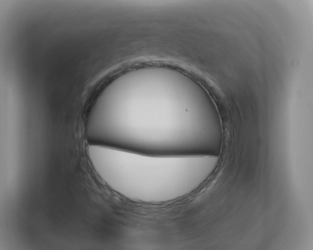 X0000113881494200909241016