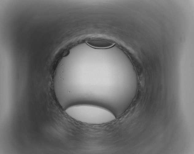 X0000113881495200909241016