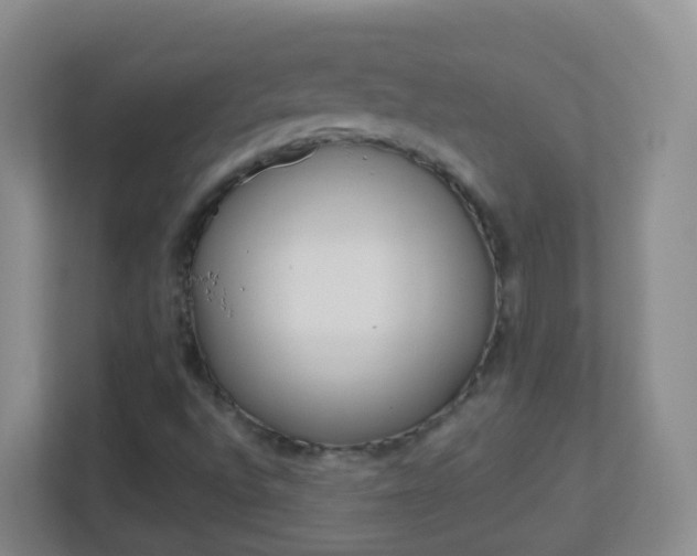 X0000113881496200909241016