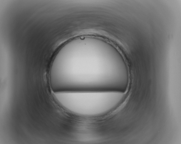 X0000113881497200909241016